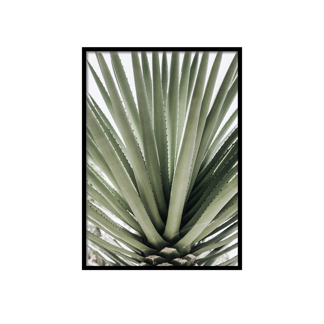 WALL ART | GREEN LEAF No. 1