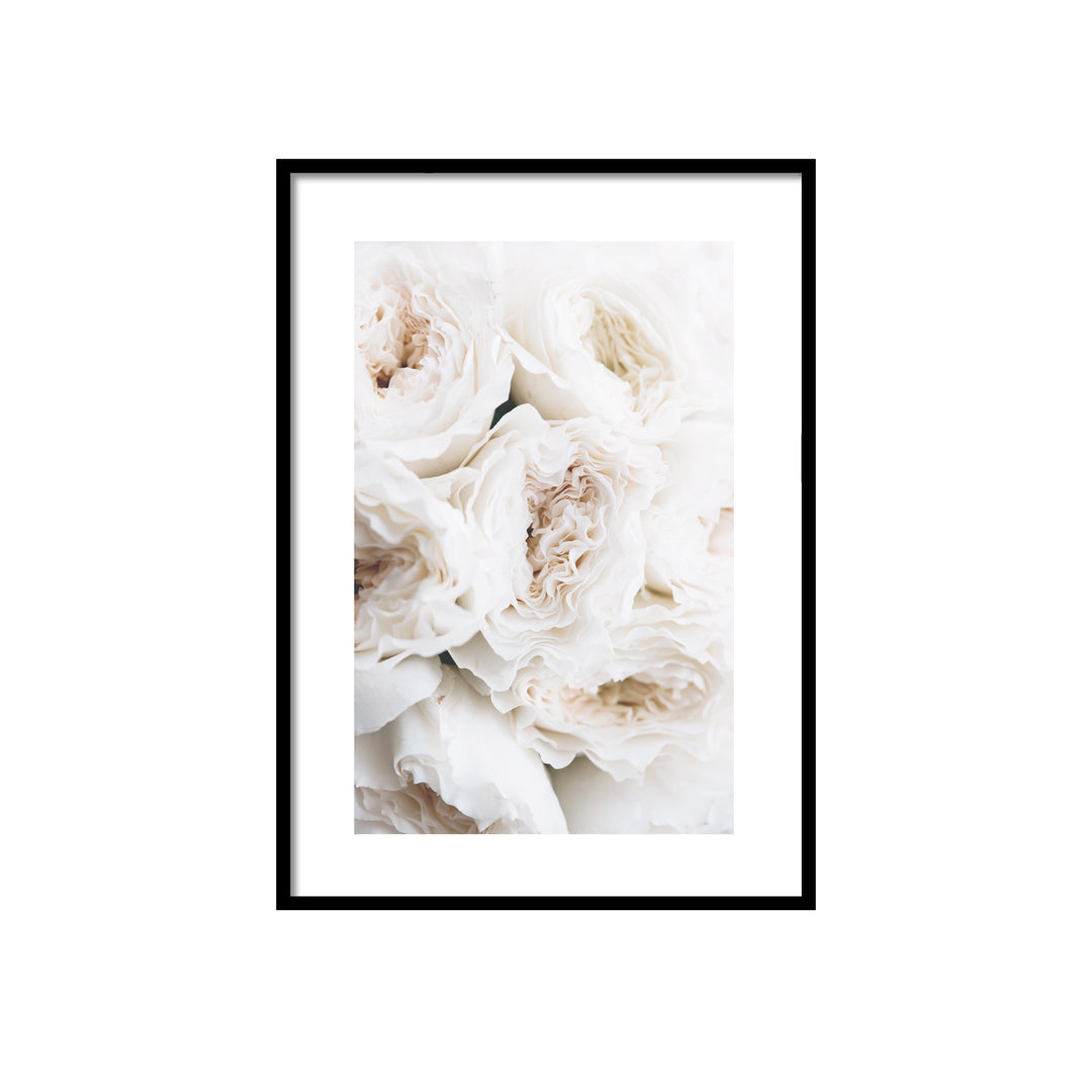 WALL ART | WHITE ROSES No. 1