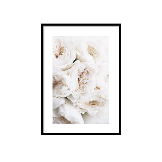 WALL ART | WHITE ROSES No. 1
