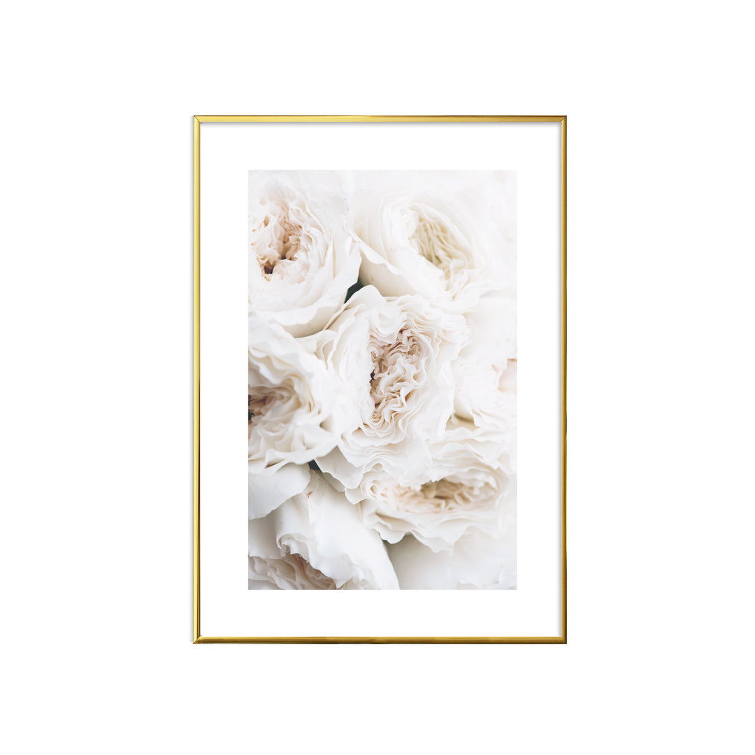 WALL ART | WHITE ROSES No. 1