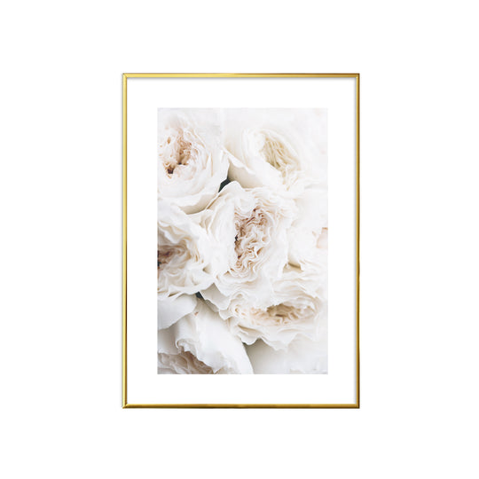 WALL ART | WHITE ROSES No. 1