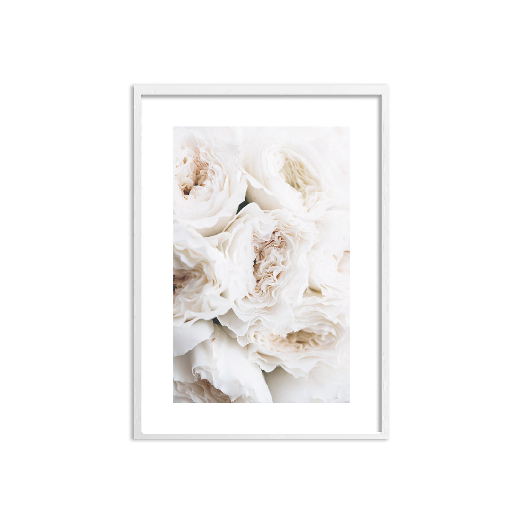 WALL ART | WHITE ROSES No. 1