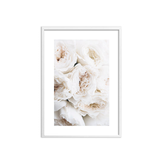 WALL ART | WHITE ROSES No. 1
